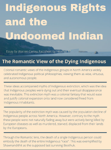 Indigenous-Rights.-H.M.-jpg.png